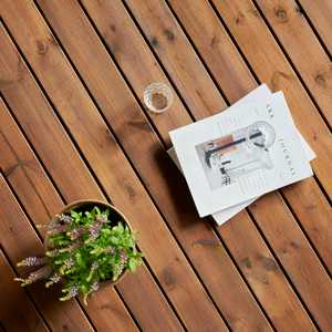 Bondex Wetterschutz Öl Terrasse mit Planze und Zeitschrift und 2 Gläsern Wasser